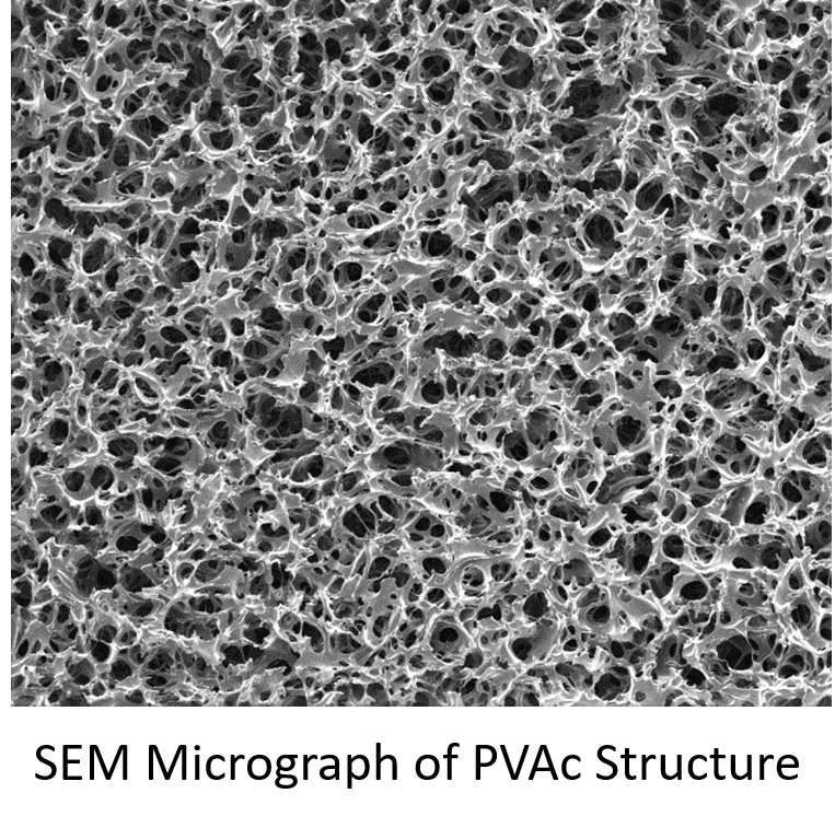 SEM_1b SEM_1b